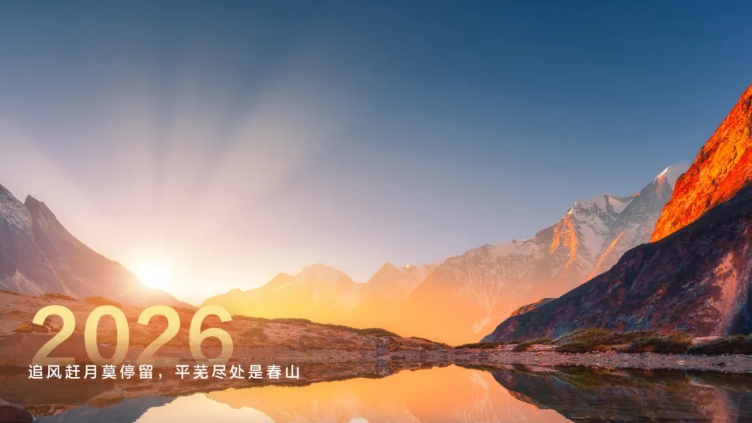 华为2026:以“质”为核的全面智能化与组织进化之路